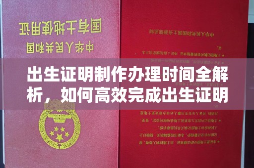 榆中出生证明制作办理时间全解析，如何高效完成出生证明申请？